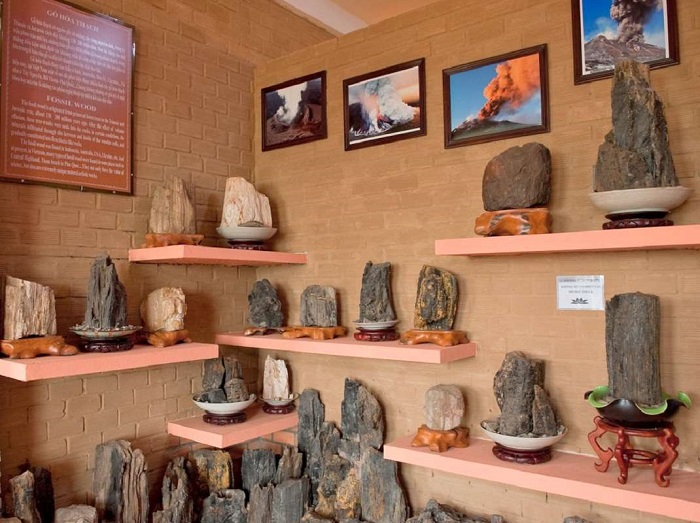 Bộ sưu tập hiện vật đa dạng, độc đáo