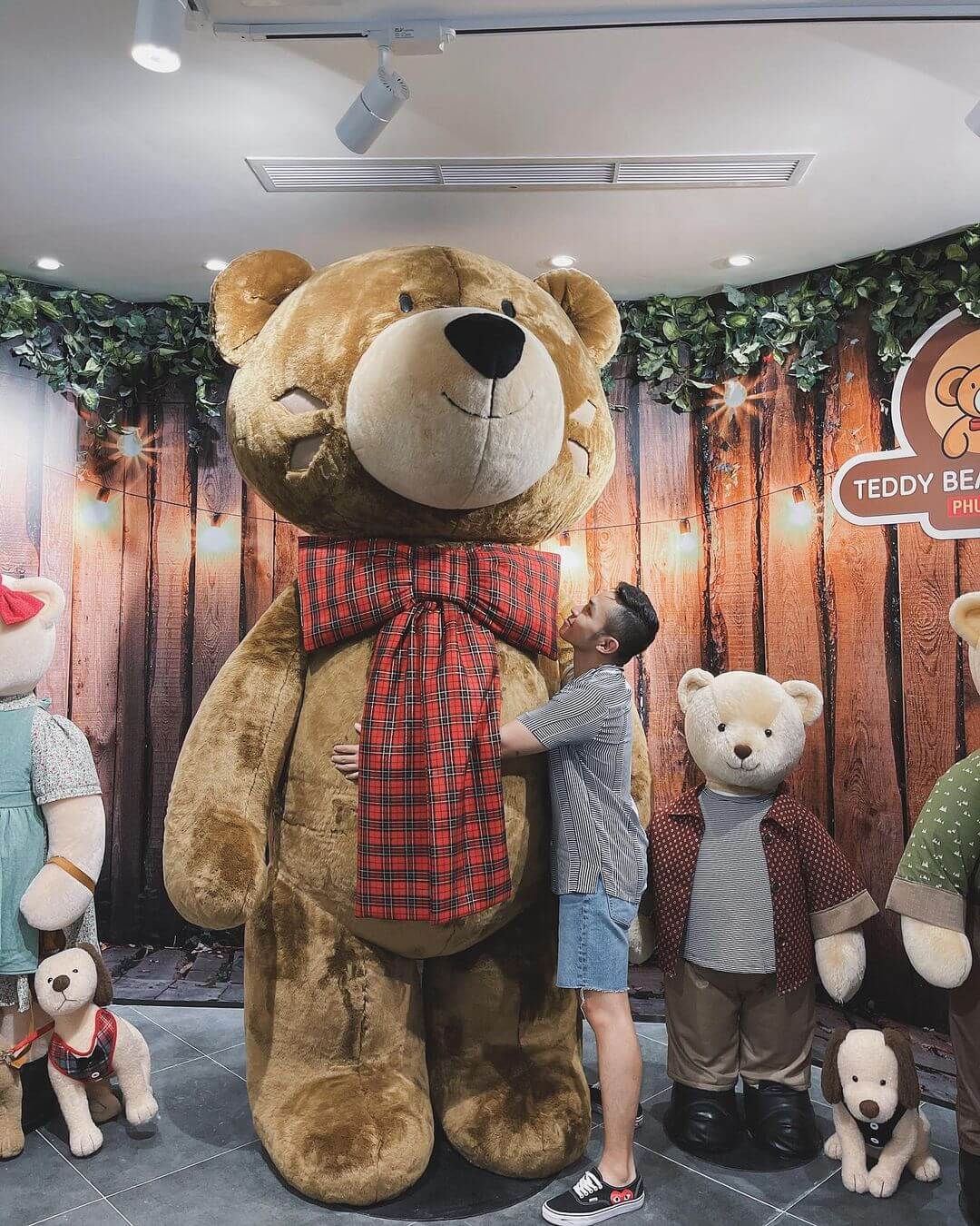 Nhà gấu Teddy bear