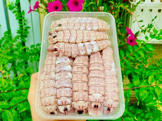 tôm tích Phú Quốc